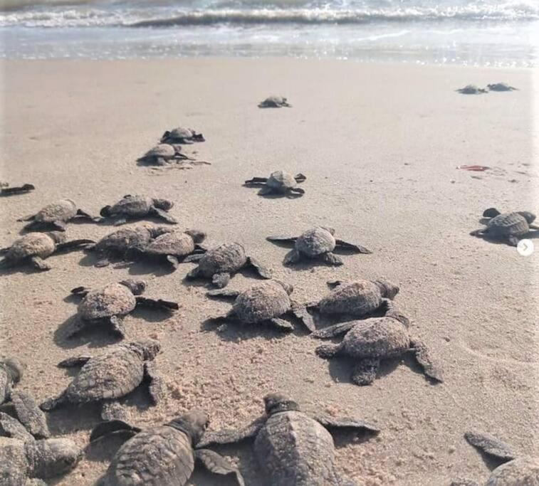 Joao Pessoa, A Dois Passos Do Paraiso, 2 Suites Com A/C, Vista Panoramica Para O Mar Do Bessa, Portaria 24H E 2 Vagas De Garagem المظهر الخارجي الصورة